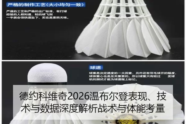 de-yue-ke-wei-qi-wen-bu-er-deng-biao-xian-ji-shu-yu-shu-ju-shen-du-jie-xi-zhan-shu-yu-ti-neng-kao-liang-2-269.jpg